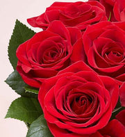 Two Dozen Red Roses with Red Vase - fashionbests