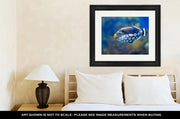 Framed Print, Underwater Image Of Tropical Fishes - fashionbests