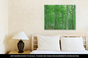 Gallery Wrapped Canvas, Green Forest Nature Landscape - fashionbests
