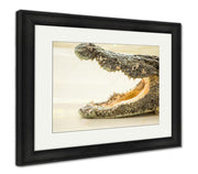 Framed Print, Dangerous Crocodile Open Mouth In Farm In Phuket Thailand Alligator In Wildlife - fashionbests